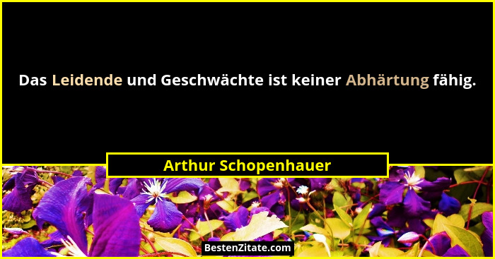 Das Leidende und Geschwächte ist keiner Abhärtung fähig.... - Arthur Schopenhauer