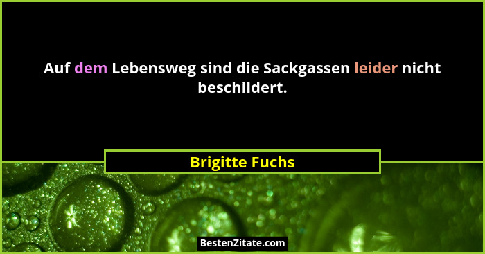 Auf dem Lebensweg sind die Sackgassen leider nicht beschildert.... - Brigitte Fuchs