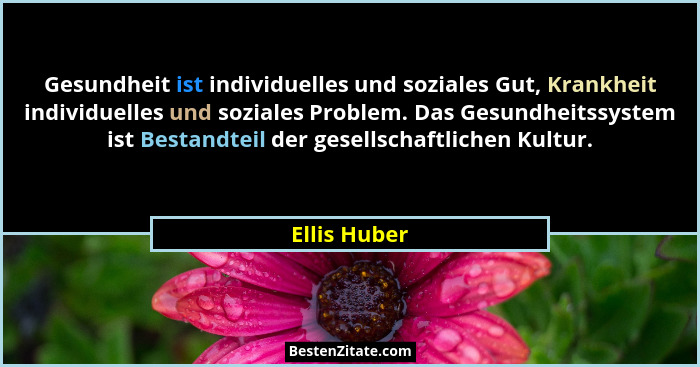 Gesundheit ist individuelles und soziales Gut, Krankheit individuelles und soziales Problem. Das Gesundheitssystem ist Bestandteil der g... - Ellis Huber