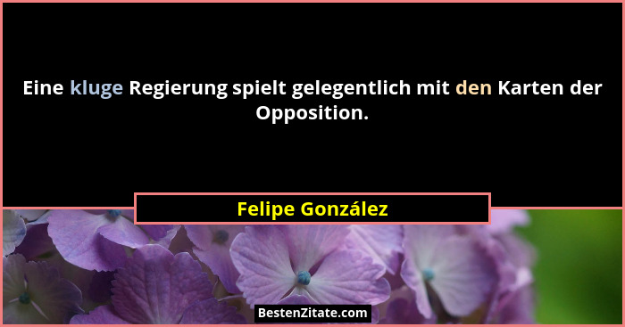 Eine kluge Regierung spielt gelegentlich mit den Karten der Opposition.... - Felipe González