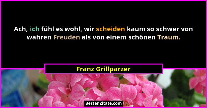 Ach, ich fühl es wohl, wir scheiden kaum so schwer von wahren Freuden als von einem schönen Traum.... - Franz Grillparzer