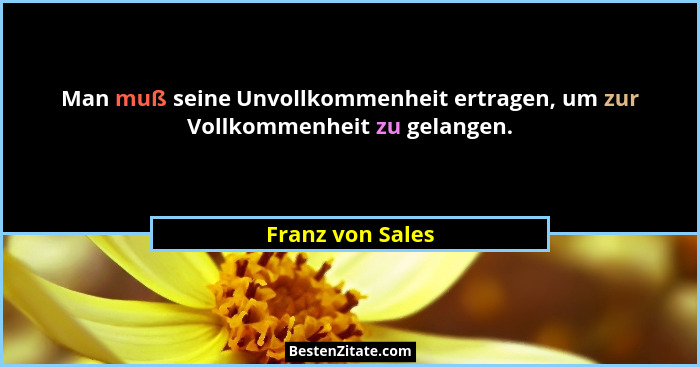 Man muß seine Unvollkommenheit ertragen, um zur Vollkommenheit zu gelangen.... - Franz von Sales