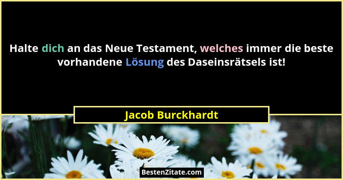 Halte dich an das Neue Testament, welches immer die beste vorhandene Lösung des Daseinsrätsels ist!... - Jacob Burckhardt