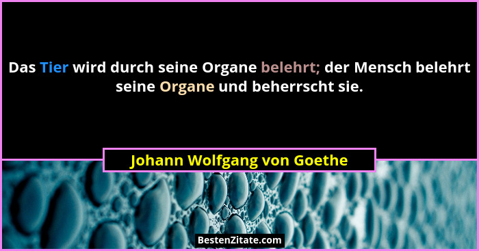 Das Tier wird durch seine Organe belehrt; der Mensch belehrt seine Organe und beherrscht sie.... - Johann Wolfgang von Goethe