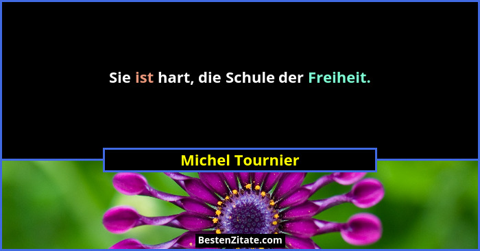 Sie ist hart, die Schule der Freiheit.... - Michel Tournier