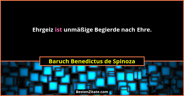 Ehrgeiz ist unmäßige Begierde nach Ehre.... - Baruch Benedictus de Spinoza