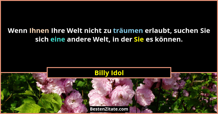 Wenn Ihnen Ihre Welt nicht zu träumen erlaubt, suchen Sie sich eine andere Welt, in der Sie es können.... - Billy Idol
