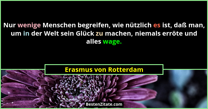 Nur wenige Menschen begreifen, wie nützlich es ist, daß man, um in der Welt sein Glück zu machen, niemals erröte und alles wag... - Erasmus von Rotterdam