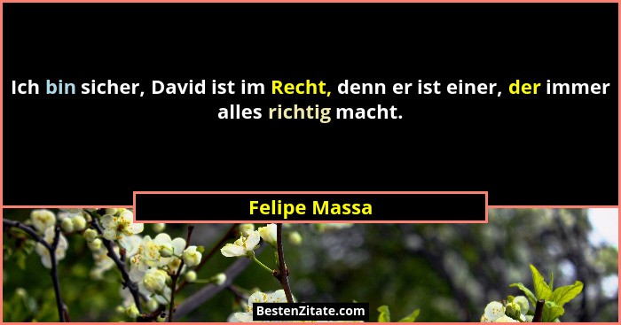 Ich bin sicher, David ist im Recht, denn er ist einer, der immer alles richtig macht.... - Felipe Massa