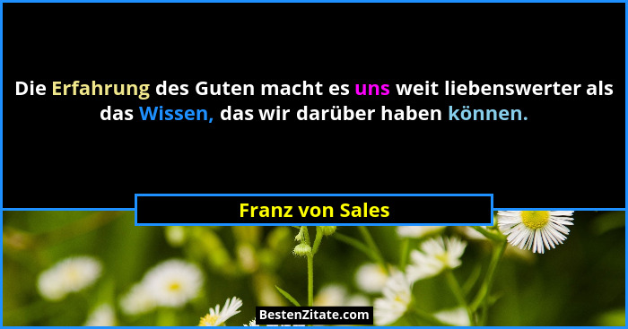 Die Erfahrung des Guten macht es uns weit liebenswerter als das Wissen, das wir darüber haben können.... - Franz von Sales