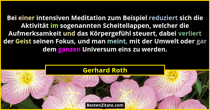 Bei einer intensiven Meditation zum Beispiel reduziert sich die Aktivität im sogenannten Scheitellappen, welcher die Aufmerksamkeit und... - Gerhard Roth