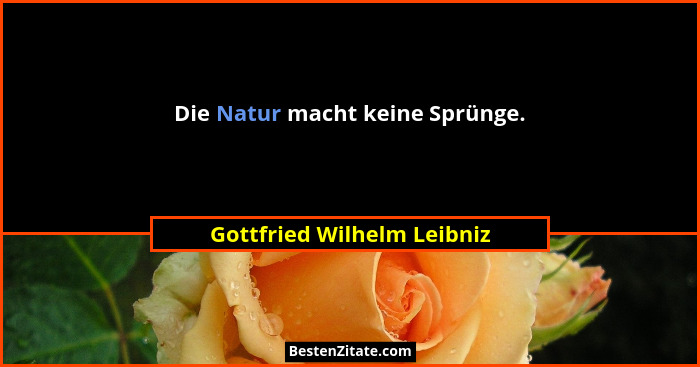 Die Natur macht keine Sprünge.... - Gottfried Wilhelm Leibniz