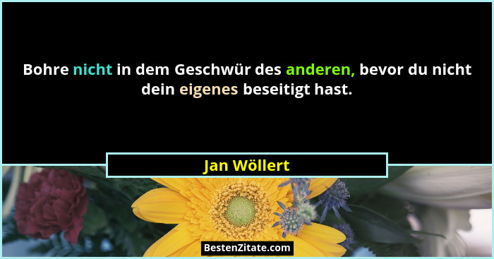 Bohre nicht in dem Geschwür des anderen, bevor du nicht dein eigenes beseitigt hast.... - Jan Wöllert