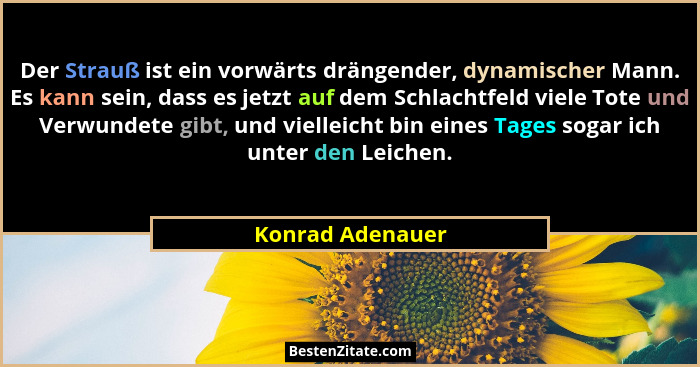 Der Strauß ist ein vorwärts drängender, dynamischer Mann. Es kann sein, dass es jetzt auf dem Schlachtfeld viele Tote und Verwundete... - Konrad Adenauer