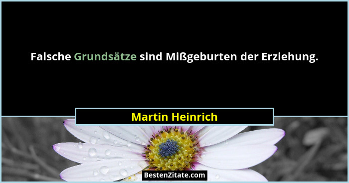Falsche Grundsätze sind Mißgeburten der Erziehung.... - Martin Heinrich