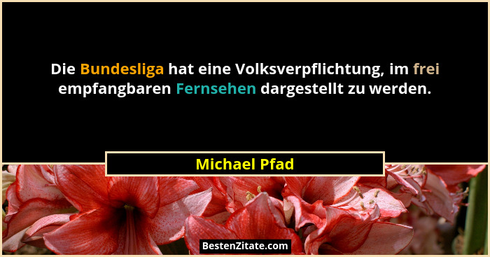 Die Bundesliga hat eine Volksverpflichtung, im frei empfangbaren Fernsehen dargestellt zu werden.... - Michael Pfad