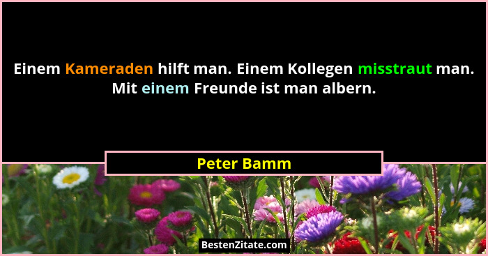 Einem Kameraden hilft man. Einem Kollegen misstraut man. Mit einem Freunde ist man albern.... - Peter Bamm