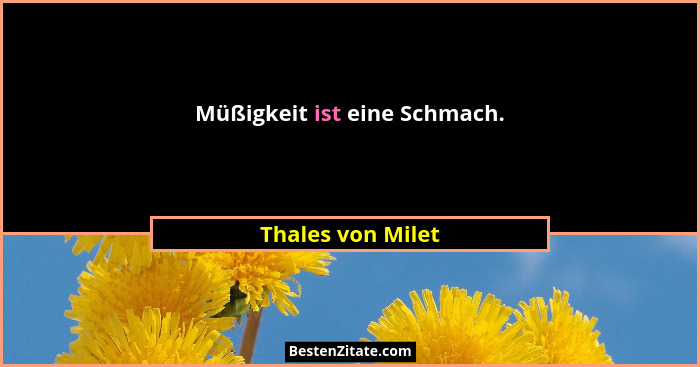 Müßigkeit ist eine Schmach.... - Thales von Milet