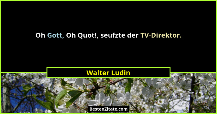 Oh Gott, Oh Quot!, seufzte der TV-Direktor.... - Walter Ludin