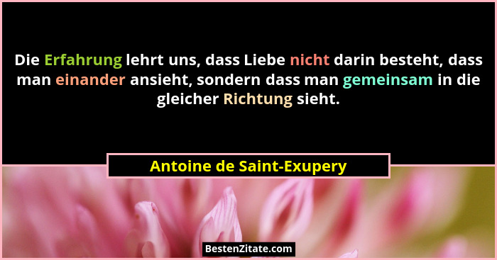 Die Erfahrung lehrt uns, dass Liebe nicht darin besteht, dass man einander ansieht, sondern dass man gemeinsam in die gleic... - Antoine de Saint-Exupery
