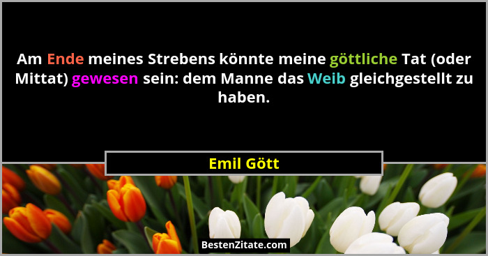 Am Ende meines Strebens könnte meine göttliche Tat (oder Mittat) gewesen sein: dem Manne das Weib gleichgestellt zu haben.... - Emil Gött