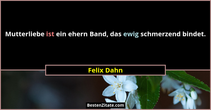 Mutterliebe ist ein ehern Band, das ewig schmerzend bindet.... - Felix Dahn