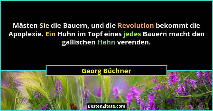 Mästen Sie die Bauern, und die Revolution bekommt die Apoplexie. Ein Huhn im Topf eines jedes Bauern macht den gallischen Hahn verende... - Georg Büchner