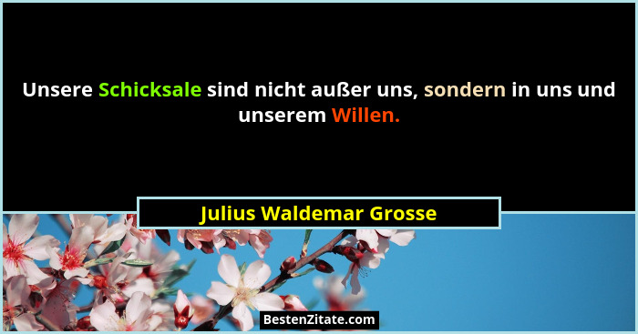 Unsere Schicksale sind nicht außer uns, sondern in uns und unserem Willen.... - Julius Waldemar Grosse