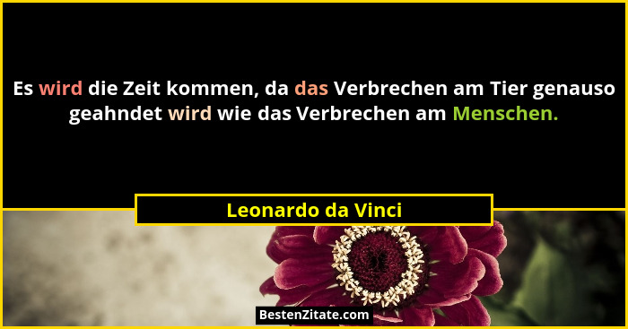 Es wird die Zeit kommen, da das Verbrechen am Tier genauso geahndet wird wie das Verbrechen am Menschen.... - Leonardo da Vinci