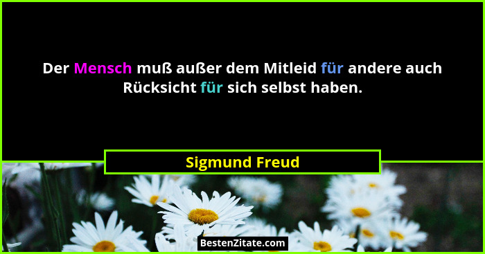 Der Mensch muß außer dem Mitleid für andere auch Rücksicht für sich selbst haben.... - Sigmund Freud