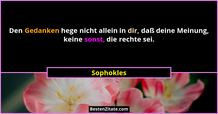 Den Gedanken hege nicht allein in dir, daß deine Meinung, keine sonst, die rechte sei.... - Sophokles