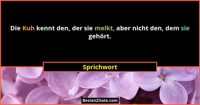 Die Kuh kennt den, der sie melkt, aber nicht den, dem sie gehört.... - Sprichwort