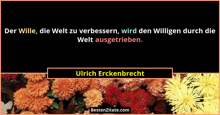 Der Wille, die Welt zu verbessern, wird den Willigen durch die Welt ausgetrieben.... - Ulrich Erckenbrecht