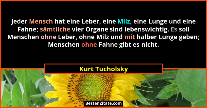Jeder Mensch hat eine Leber, eine Milz, eine Lunge und eine Fahne; sämtliche vier Organe sind lebenswichtig. Es soll Menschen ohne Le... - Kurt Tucholsky