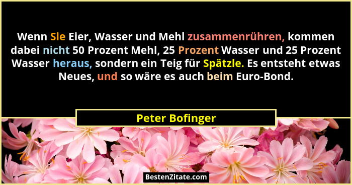 Wenn Sie Eier, Wasser und Mehl zusammenrühren, kommen dabei nicht 50 Prozent Mehl, 25 Prozent Wasser und 25 Prozent Wasser heraus, so... - Peter Bofinger