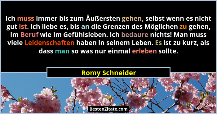 Ich muss immer bis zum Äußersten gehen, selbst wenn es nicht gut ist. Ich liebe es, bis an die Grenzen des Möglichen zu gehen, im Ber... - Romy Schneider