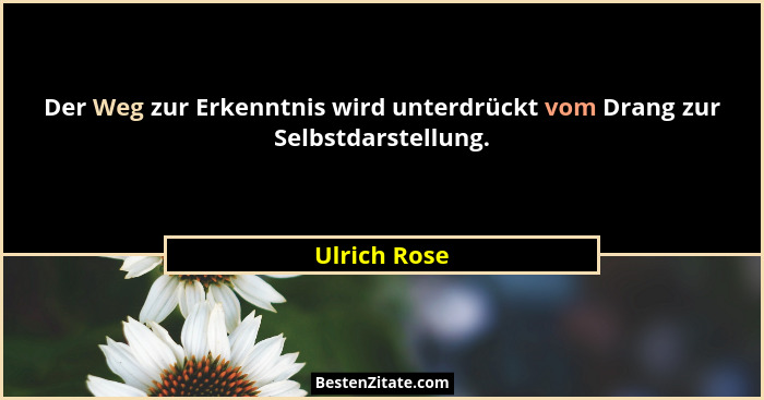 Der Weg zur Erkenntnis wird unterdrückt vom Drang zur Selbstdarstellung.... - Ulrich Rose