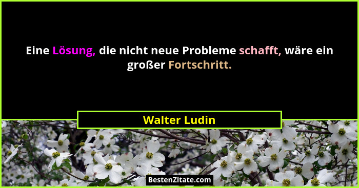 Eine Lösung, die nicht neue Probleme schafft, wäre ein großer Fortschritt.... - Walter Ludin