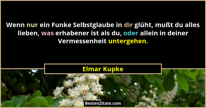 Wenn nur ein Funke Selbstglaube in dir glüht, mußt du alles lieben, was erhabener ist als du, oder allein in deiner Vermessenheit unterg... - Elmar Kupke