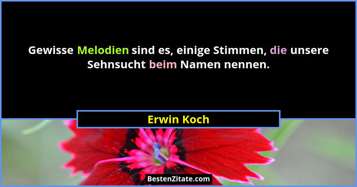 Gewisse Melodien sind es, einige Stimmen, die unsere Sehnsucht beim Namen nennen.... - Erwin Koch