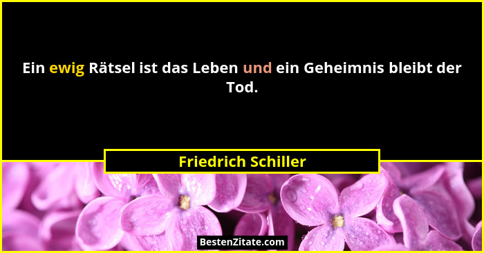 Ein ewig Rätsel ist das Leben und ein Geheimnis bleibt der Tod.... - Friedrich Schiller