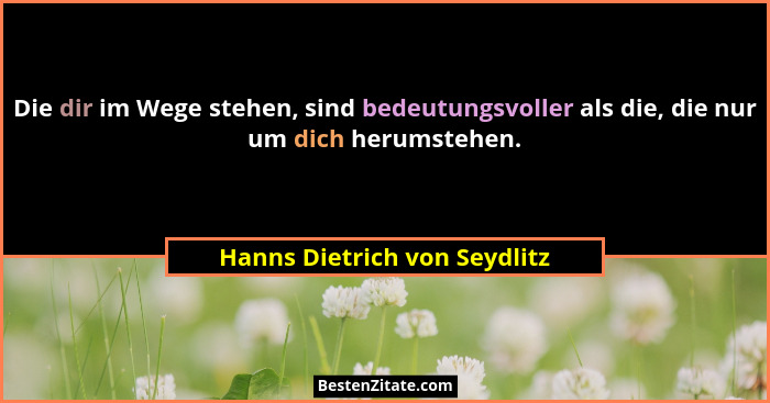 Die dir im Wege stehen, sind bedeutungsvoller als die, die nur um dich herumstehen.... - Hanns Dietrich von Seydlitz