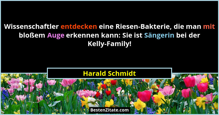 Wissenschaftler entdecken eine Riesen-Bakterie, die man mit bloßem Auge erkennen kann: Sie ist Sängerin bei der Kelly-Family!... - Harald Schmidt