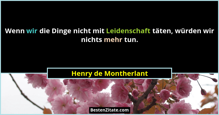 Wenn wir die Dinge nicht mit Leidenschaft täten, würden wir nichts mehr tun.... - Henry de Montherlant