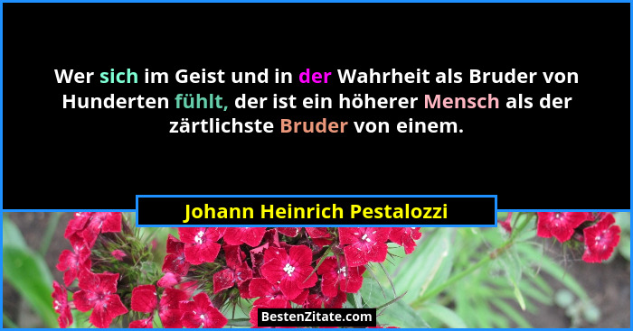 Wer sich im Geist und in der Wahrheit als Bruder von Hunderten fühlt, der ist ein höherer Mensch als der zärtlichste Brud... - Johann Heinrich Pestalozzi