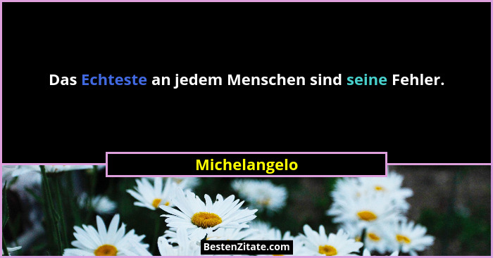 Das Echteste an jedem Menschen sind seine Fehler.... - Michelangelo