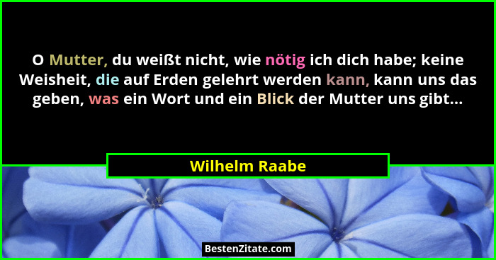 O Mutter, du weißt nicht, wie nötig ich dich habe; keine Weisheit, die auf Erden gelehrt werden kann, kann uns das geben, was ein Wort... - Wilhelm Raabe