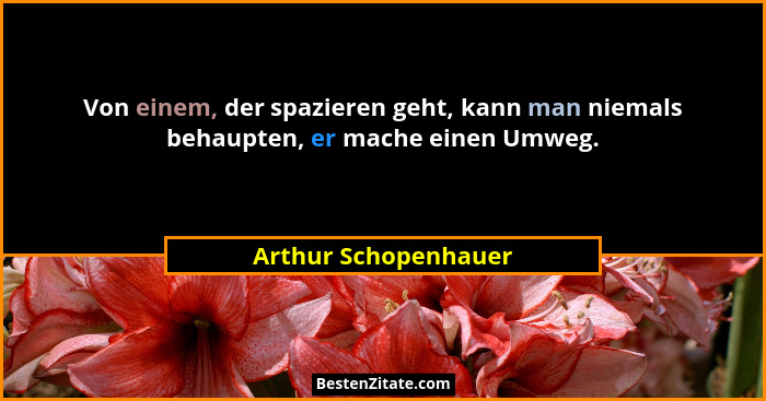 Von einem, der spazieren geht, kann man niemals behaupten, er mache einen Umweg.... - Arthur Schopenhauer