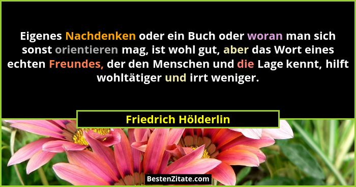 Eigenes Nachdenken oder ein Buch oder woran man sich sonst orientieren mag, ist wohl gut, aber das Wort eines echten Freundes, d... - Friedrich Hölderlin