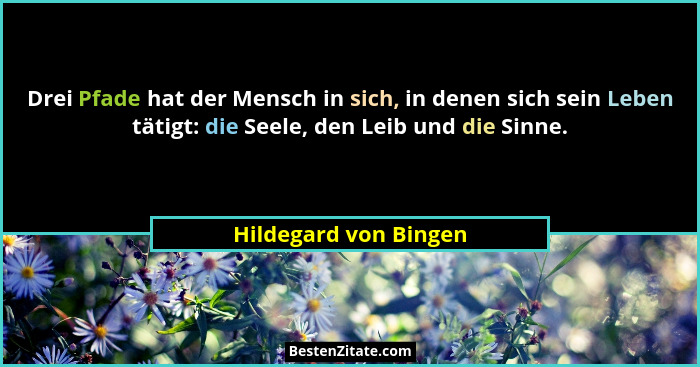 Drei Pfade hat der Mensch in sich, in denen sich sein Leben tätigt: die Seele, den Leib und die Sinne.... - Hildegard von Bingen